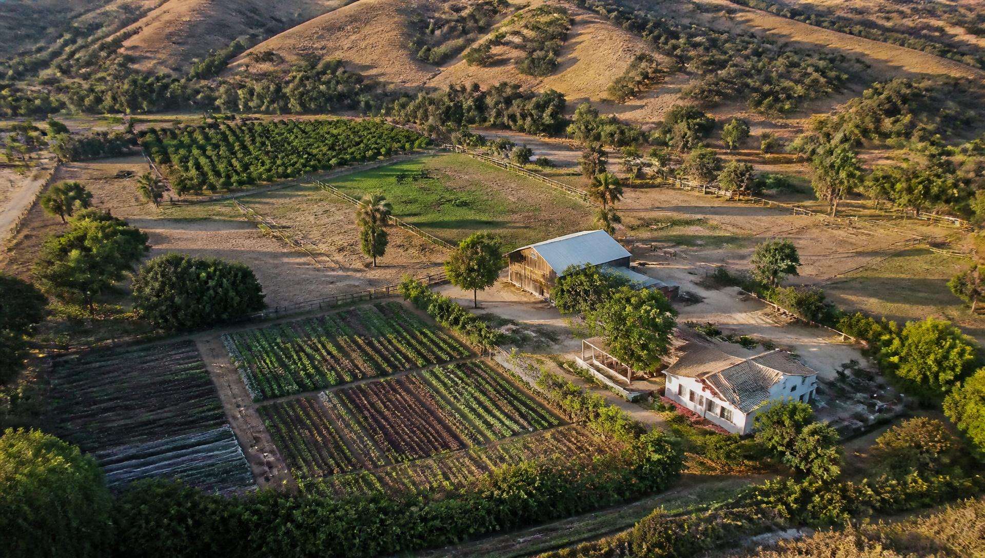 Aerial view of The Farm at Washington